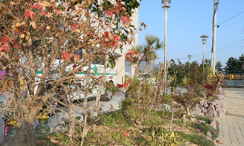 병원전경